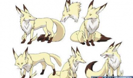 动漫狐狸,探寻神秘动漫狐狸的奇幻之旅