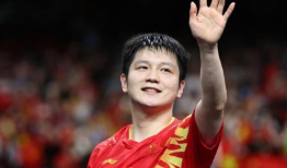 樊振东比赛视频,激战正酣，精彩瞬间回顾